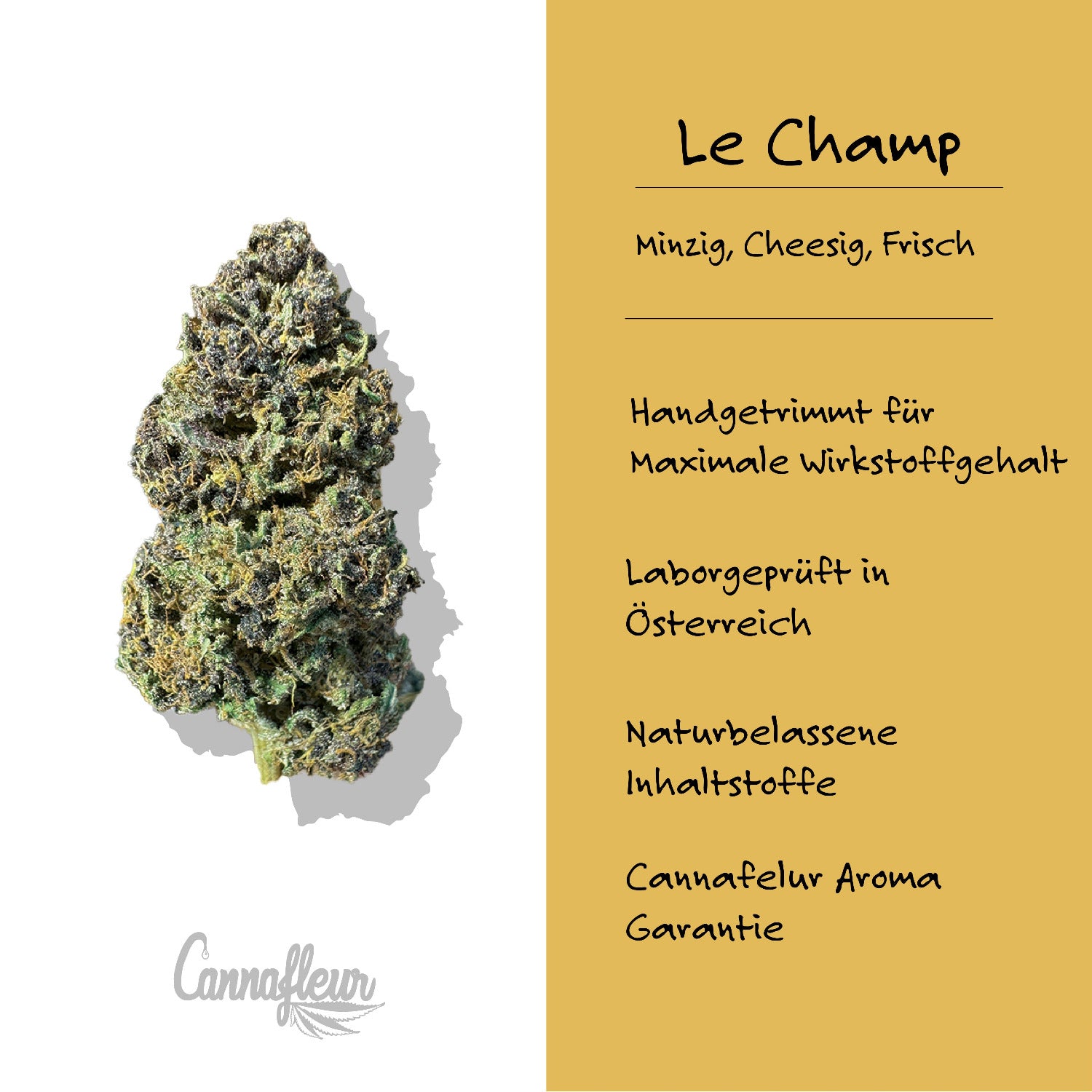Hanfblüten Tee - Le Champ