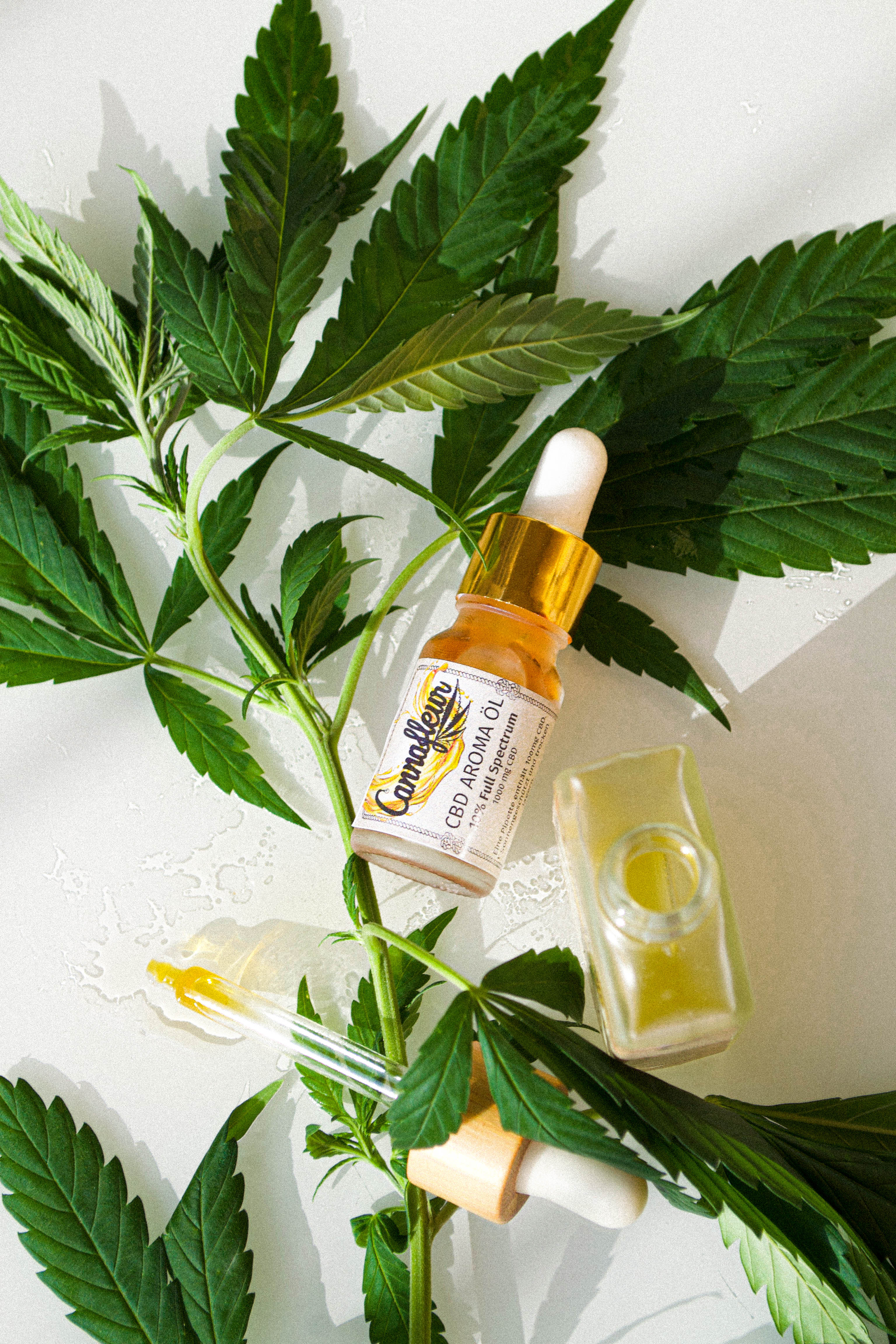 CBD ÖL 10% Intense (Cup Gewinner) – Abonnement