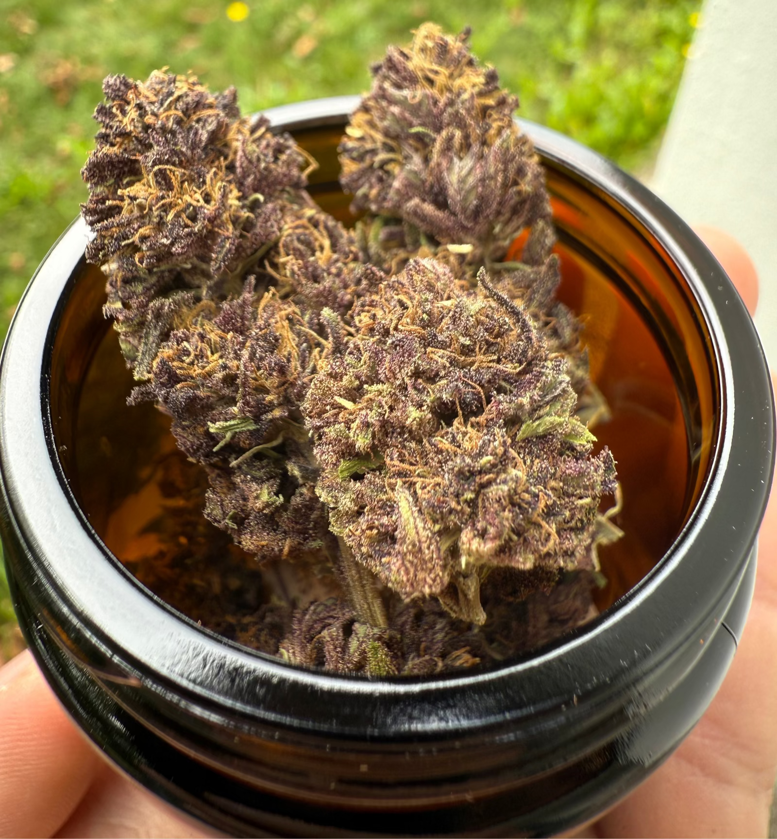 Hanfblüten Tee - Chocolate Strawberry