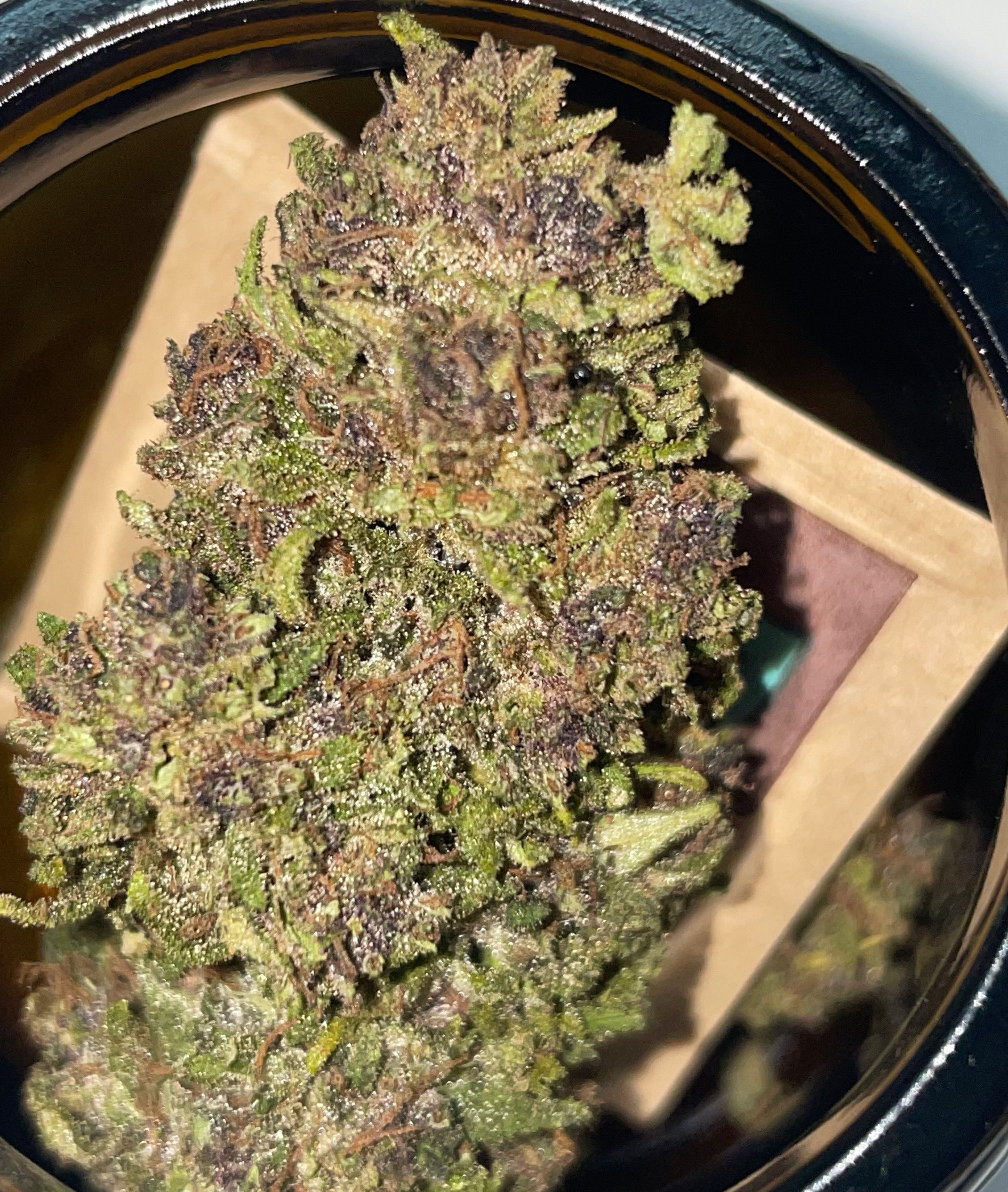 Hanfblüten Tee - Legendary OG