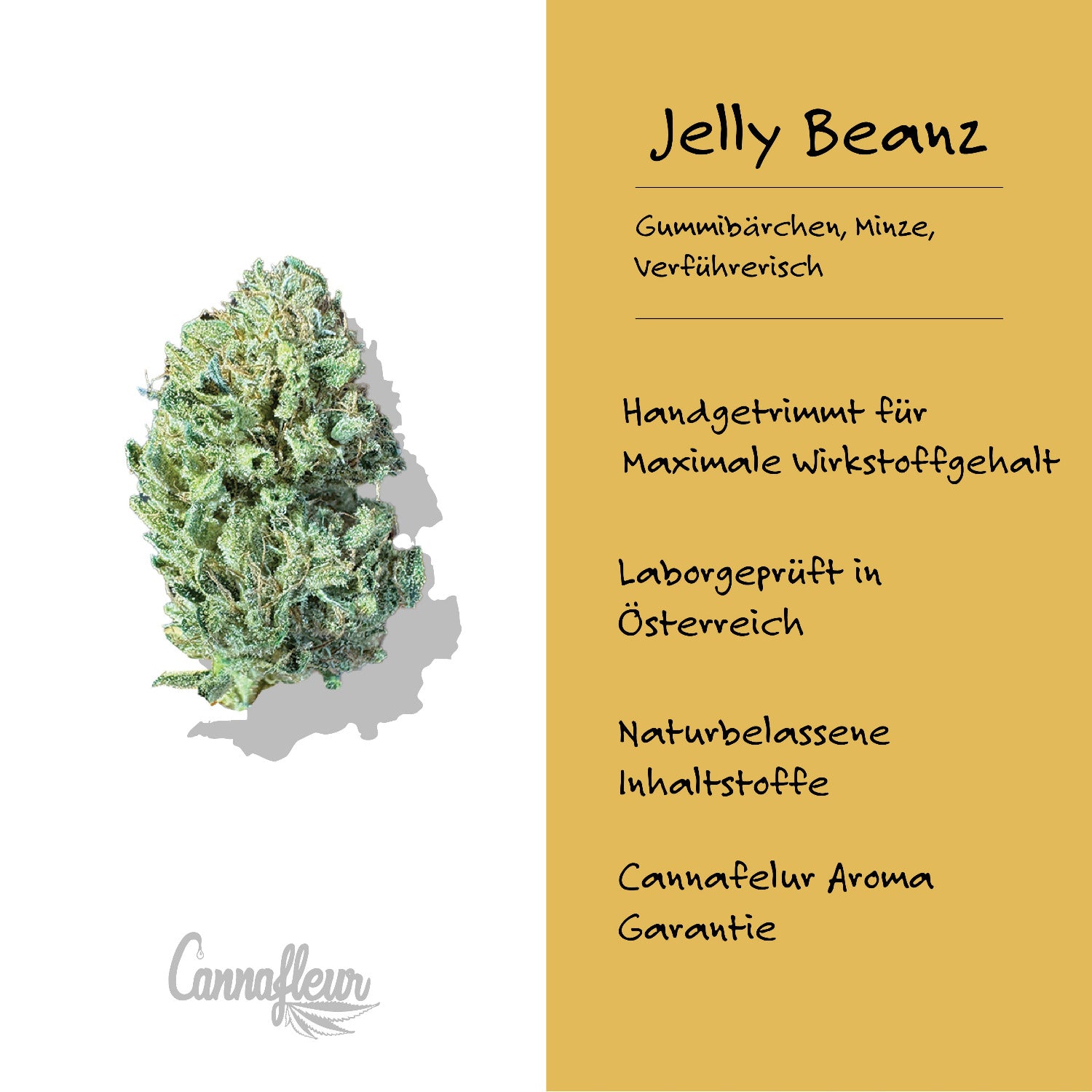 Hanfblüten Tee - Jelly Beanz